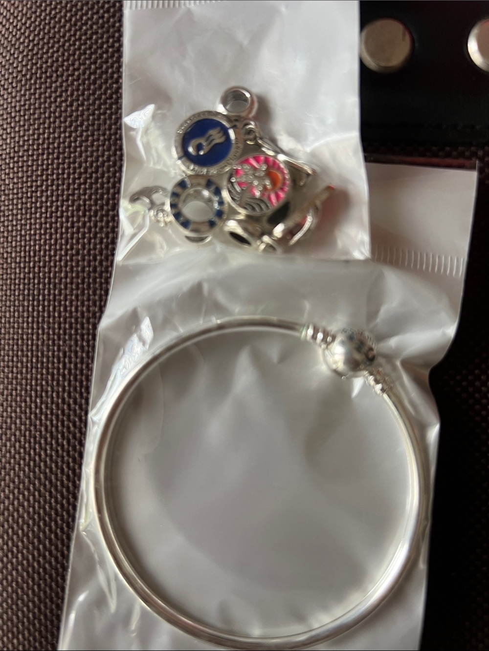 Princess Cruise line exclusive  Bangle Bracelet with 5 charms NEW